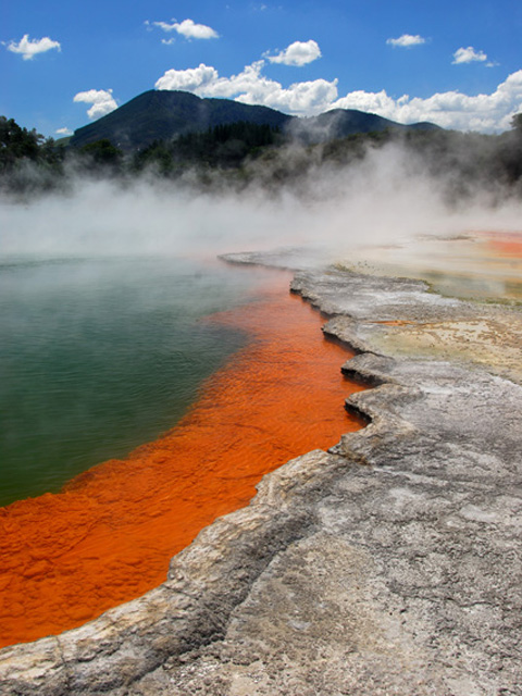 Champagne Pool