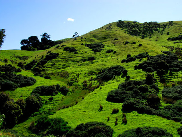 Péninsule d'Otago