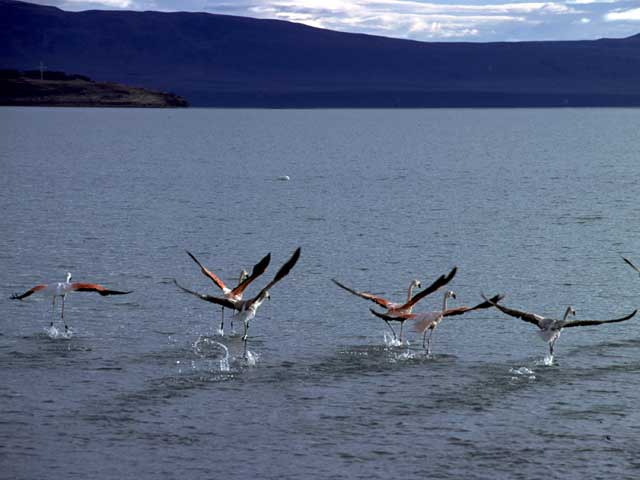 San Marin Lake