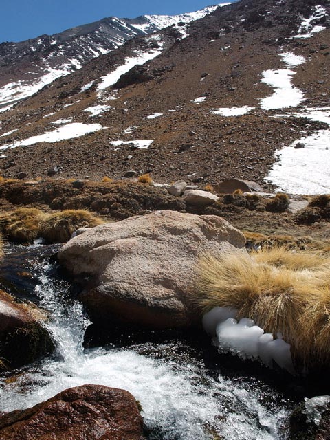 Agua Negra