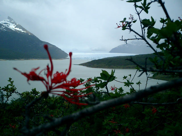 Glacier Perito Moreno