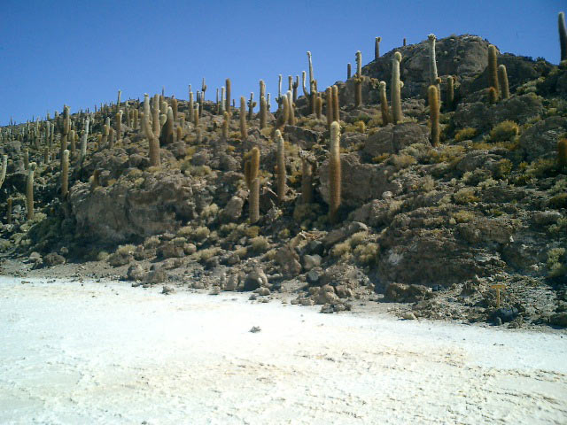 The Salar De Uyuni