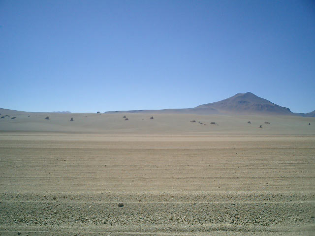 Dali Desert