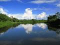 Rivière Paraguay, Pantanal