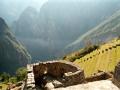 Torreon, Machu Picchu