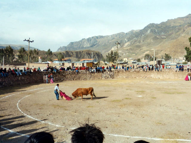 Bullfight