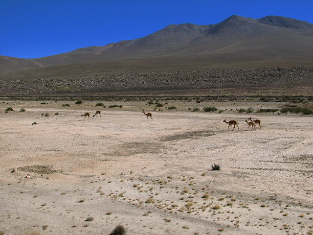 Valle del Colca