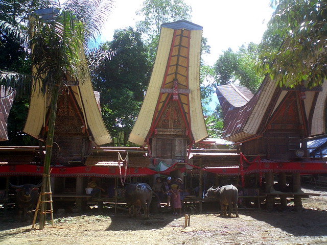 Toraja funeral