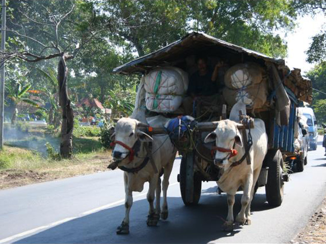 Traditional transportation