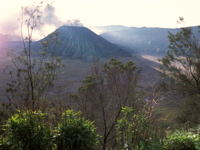 Bromo volcano