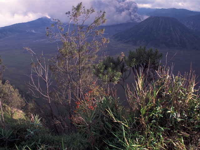 Volcano