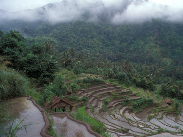 Terraces