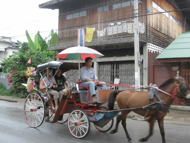 Horse carriage