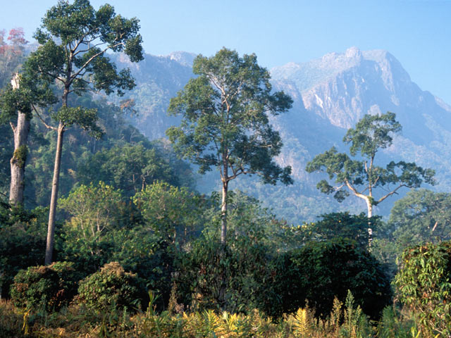 Thailand countryside