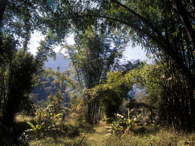 Chiang Dao