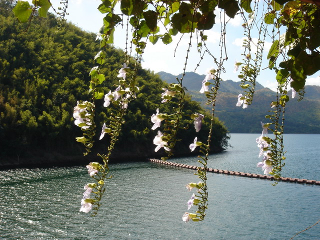 Srinakarin Dam