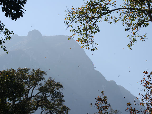 Doi Chiang Dao