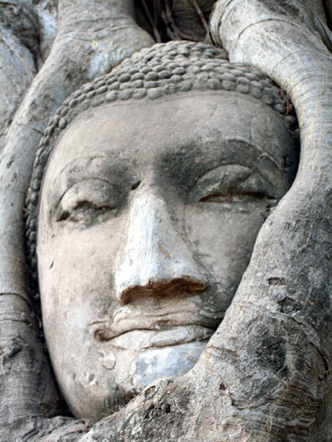 Sandstone Buddha Head