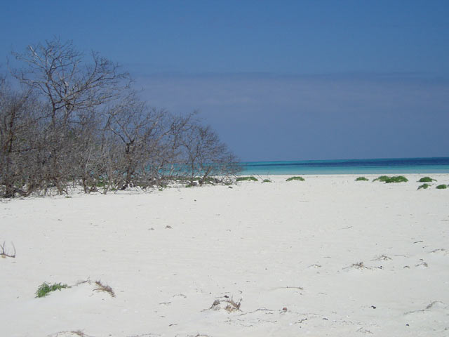 Cayo Levisa