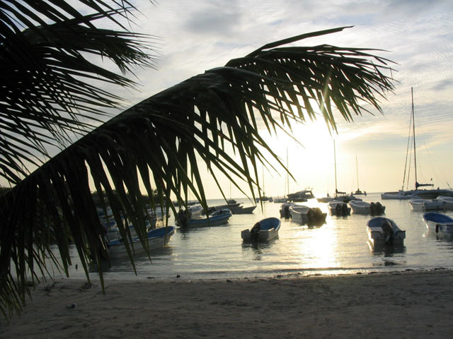 Bayahibe harbor