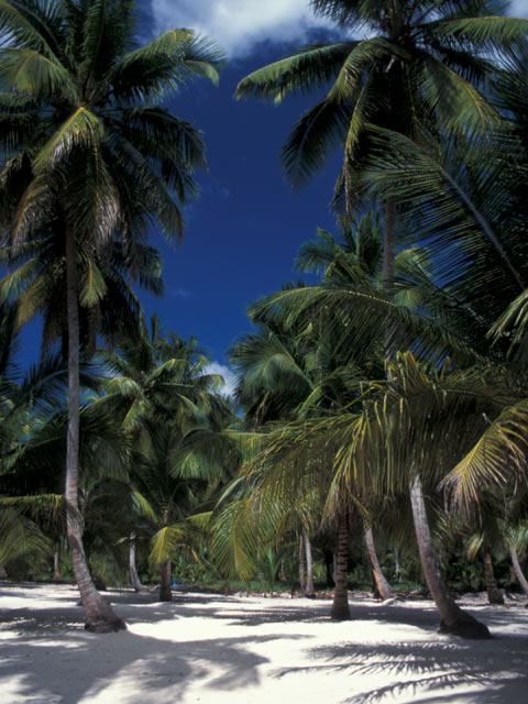 Sosua beautiful beach