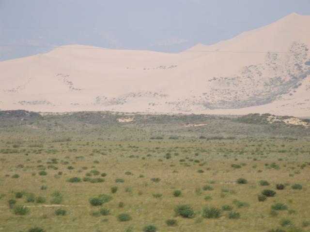 Dune