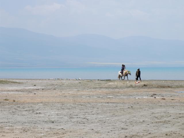 Qinghai lake