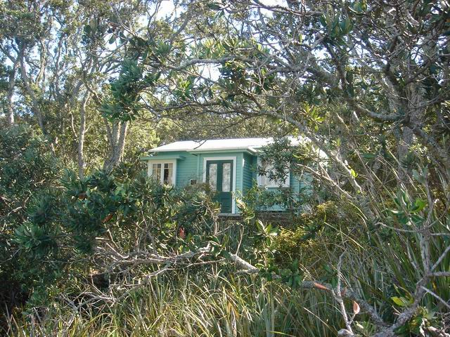 Petite maison sur l'île de Rangitoto en Nouvelle Zélande