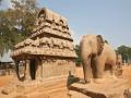 Pancha Rathas, sculpture d'éléphant