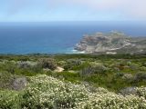 Fynbos côtiers, aires protégées de la Région florale du Cap