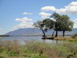Panorama du parc national de Mana Pools Panorama du parc national de Mana Pools