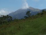 Mont Nimba, réserve naturelle intégrale du Mont Nimba