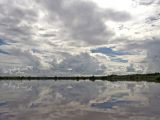 Rivière, delta du Saloum Rivière, delta du Saloum