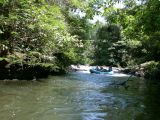 Rivière, réserve de la biosphère Rio Platano