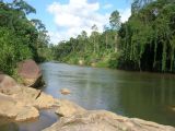 Rivière, réserve forestière de Sinharaja