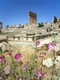 Temple de Jupiter, Baalbek