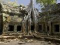 Ta Phrom, Angkor